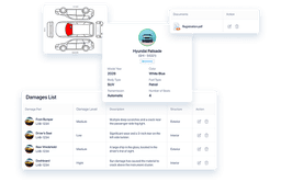 Overseas Development