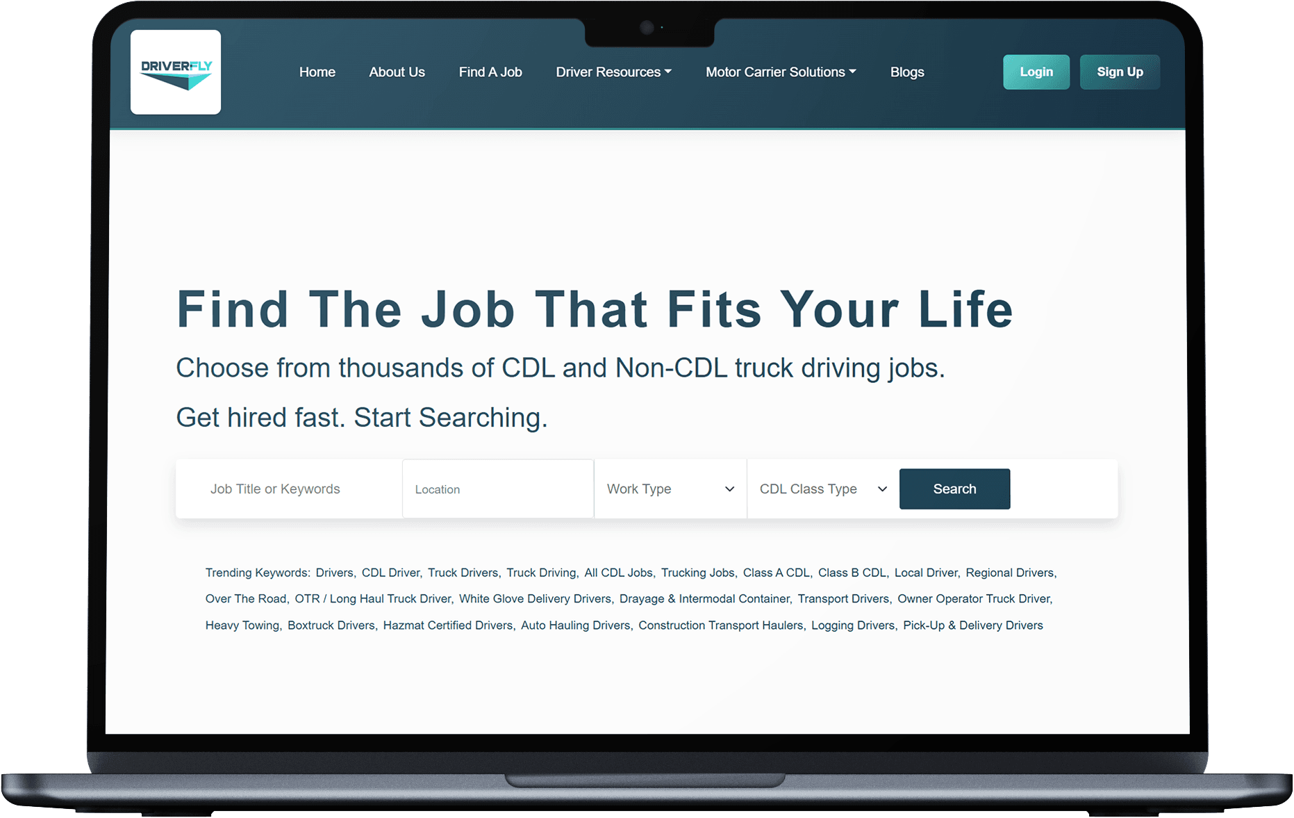 DRIVER FLY Screenshot