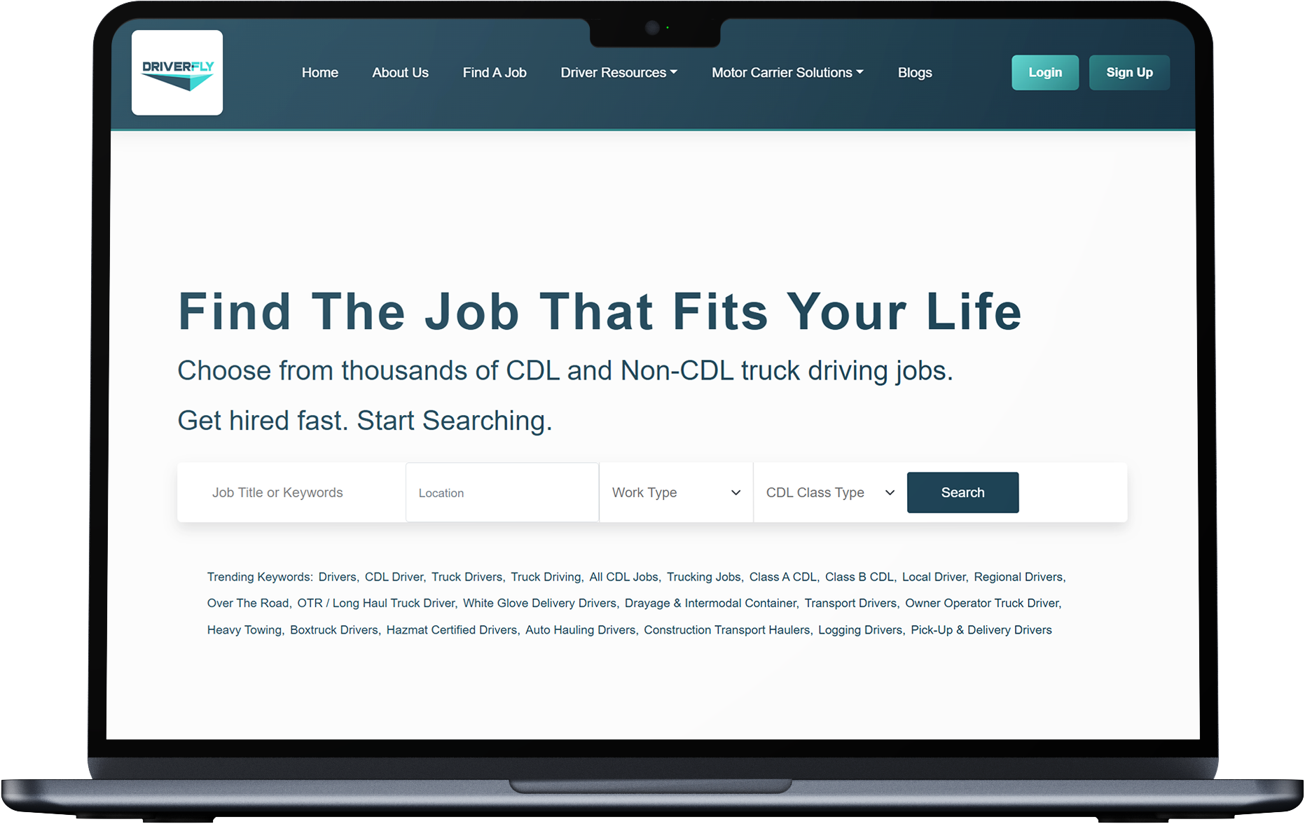 DRIVERFLY Screenshot